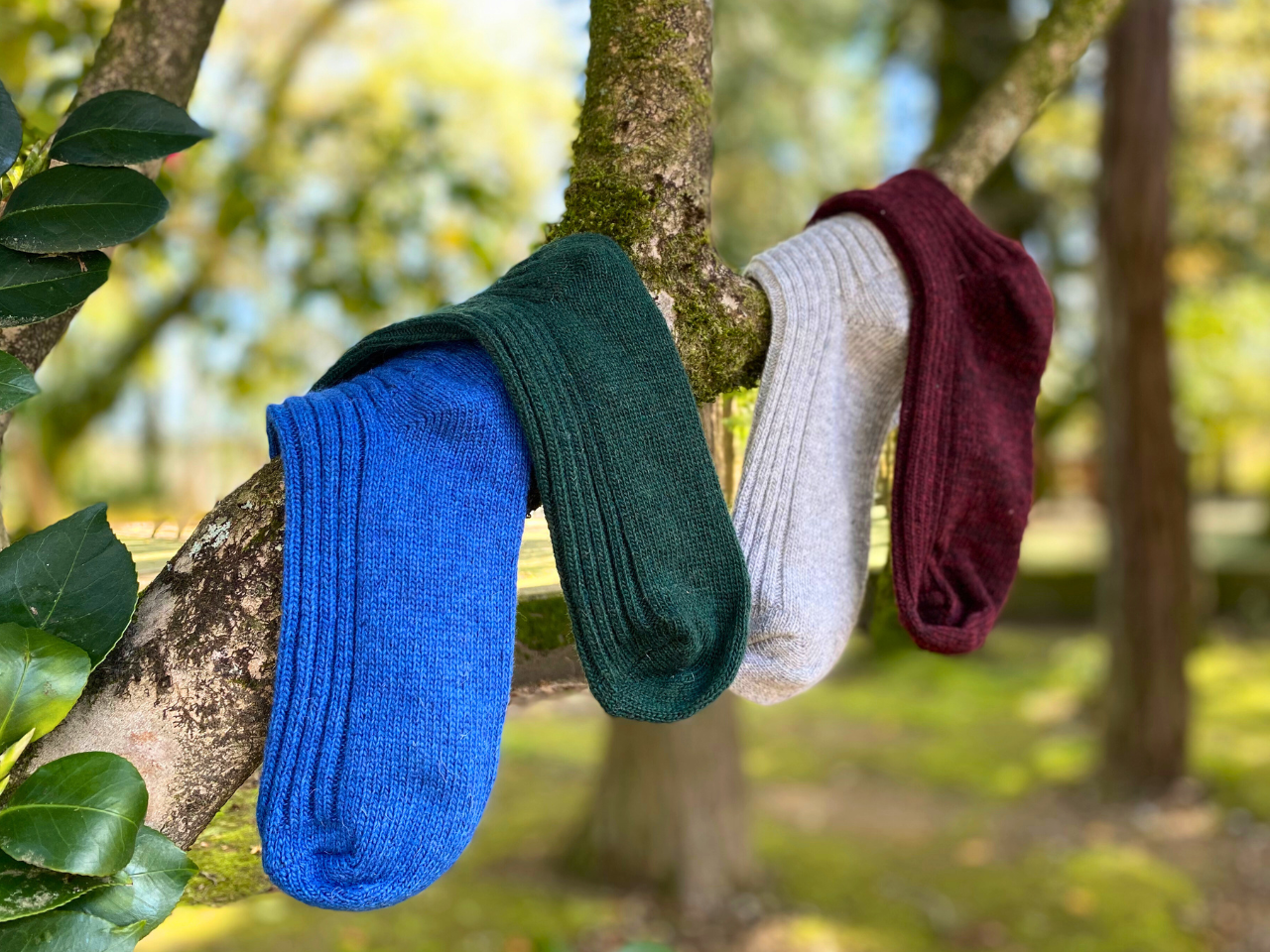 Eco Wool Socks - Pack 4 pairs (Green/Bourdeaux/Grey/Blue)